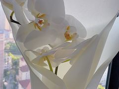 -惟初心理咨询工作室(静安分店)