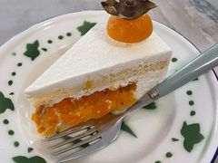 -聚福SHANGHAILANDER(乌鲁木齐南路店)