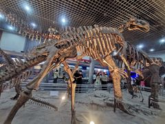 -国家自然博物馆