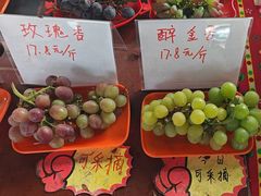 -马陆小张葡萄园农家乐