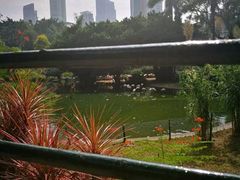 -香港皇家太平洋酒店