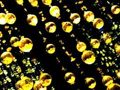 -广州四季酒店·佰鲜汇·现代法餐