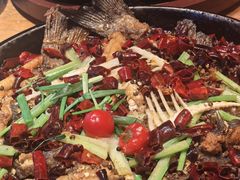 -老板恋上鱼(恒隆广场店)