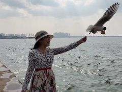 -滇池海埂公园