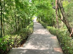 -天河潭旅游度假区