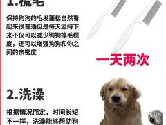 -泰洋动物医院·神经专科·磁共振·CT(天河公园总院)