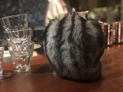 -咖法森林·咖啡  酒吧(天河店)