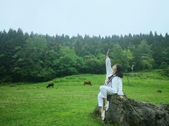 -武陵山森林公园