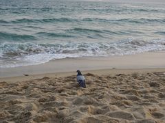 -海云台海滩