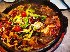 -老板恋上鱼(恒隆广场店)