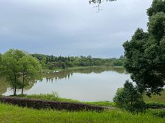 -福建鲤鱼洲酒店