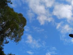 -火炉山森林公园
