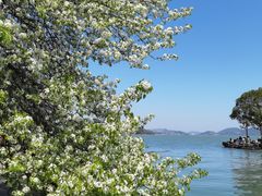 -东钱湖小普陀景区