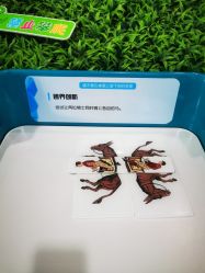 -北京科学中心儿童乐园