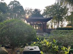 -武汉园博园(武汉自然博物馆)