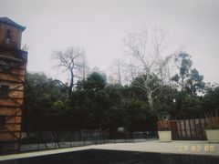 -JZ Club 爵士酒吧(上海店)