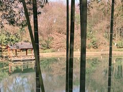 -善卷洞风景区