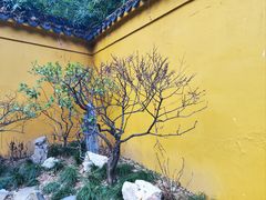 -西园戒幢律寺
