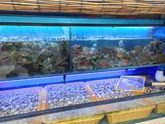 -十面欢腾·海鲜面·台式Bistro(长乐路店)