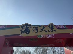 -蒲河大集