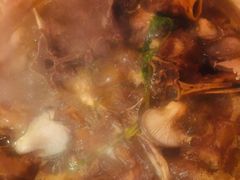-芦月轩羊蝎子(太平桥店)