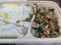 -泉州海丝野生动物世界