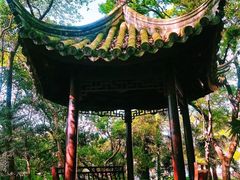 -汇龙潭