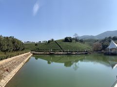 -帐篷客·溪龙茶谷度假酒店