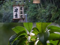 -宁波五龙潭景区