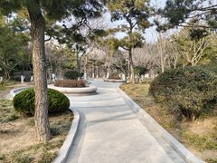-燕儿岛山公园