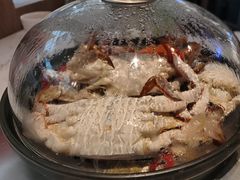 -半岛听涛蒸汽海鲜自助(K11店)