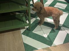 -Thai Basil罗勒叶泰式餐厅(时代天街店)