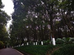 -竹涧府