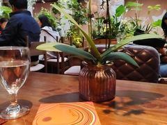 -翡翠鸟精品泰国菜(北辰财富中心店)