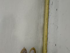 -冠军冰场CHAMPION RINK(百联又一城店)