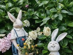 -上海共青森林公园