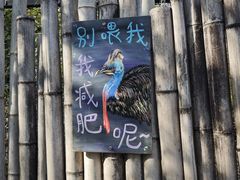 -南京时尚莱迪购物广场(正洪街店)