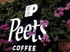 -Peet's Coffee皮爷咖啡(豫园店)