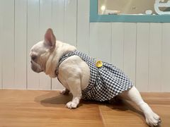 -观音桥步行街