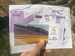 -富田农场