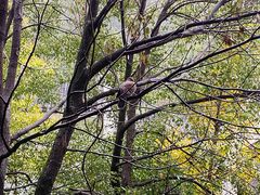 -敬亭山风景名胜区