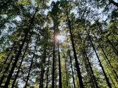 -国家植物园南园