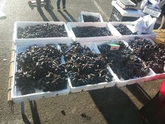 -三旗百汇商品城