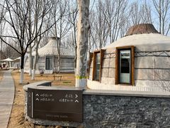 -九十九顶毡房(阜石路店)