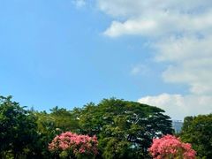 -荔香公园