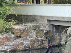 -尚湖风景区