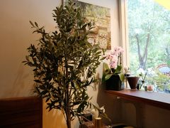 -琥珀咖啡 Ambercoffee