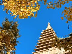 -北京石刻艺术博物馆(五塔寺)