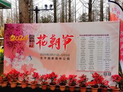 -东平国家森林公园