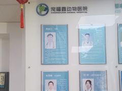 -宠福鑫动物医院(城北分院)